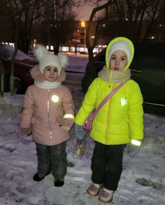 Единый день Светлячка