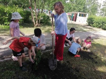 Семейное дерево